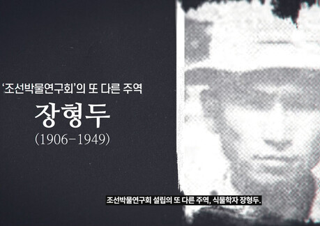 “금강초롱도 빼앗길 뻔했다”…나영석·서경덕, 세종대왕 나신 날 맞아 ‘조선 식물학자’ 영상 공개